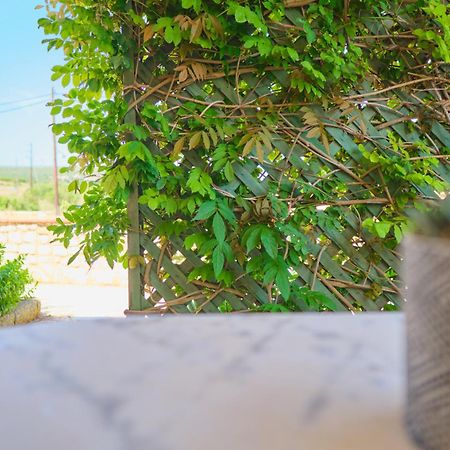 Kastrisianika Koralia Apartments المظهر الخارجي الصورة