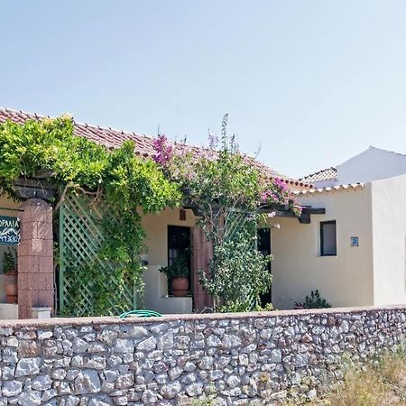 Kastrisianika Koralia Apartments المظهر الخارجي الصورة